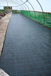 On embracing mediocrity…