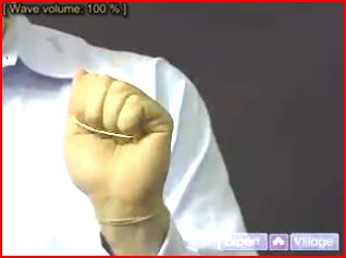 Karet Gelang Yang Melompat 2