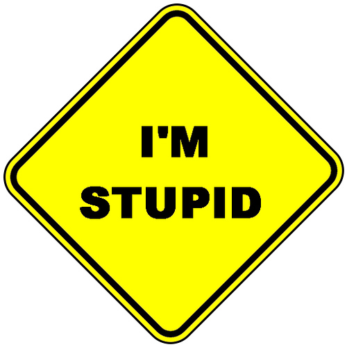 I%27m+Stupid.jpg