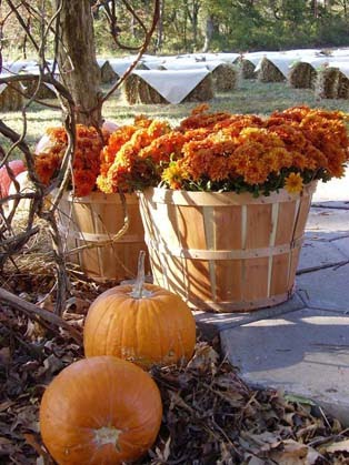 Lovely Fall wedding reception ideas Lovely Fall wedding reception ideas