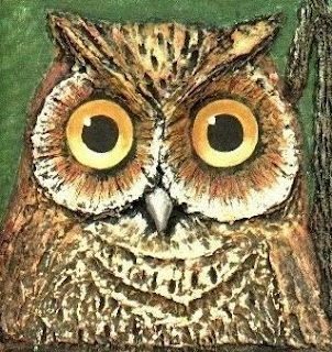 Imagen de búho de ojos grandes Imagen de búho de ojos grandes