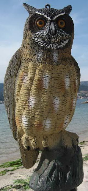 Escultura de un búho Escultura de un búho