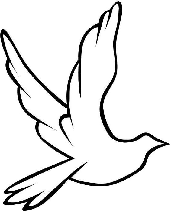 ANIMALES FOTOS DIBUJOS IMAGENES: FOTOS DE PALOMAS Y DIBUJOS ANIMALES FOTOS DIBUJOS IMAGENES: FOTOS DE PALOMAS Y DIBUJOS