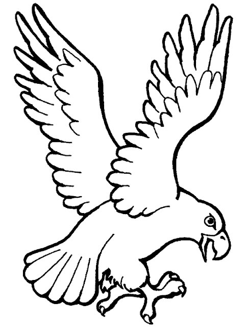 Dibujo de águila aterrizando para colorear pintar Dibujo de águila aterrizando para colorear pintar