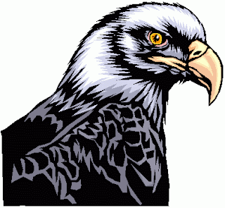 Aguila con su pico curvo Aguila con su pico curvo