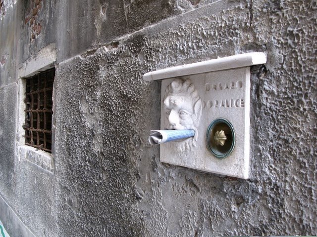 [IMG_0629.JPG]
