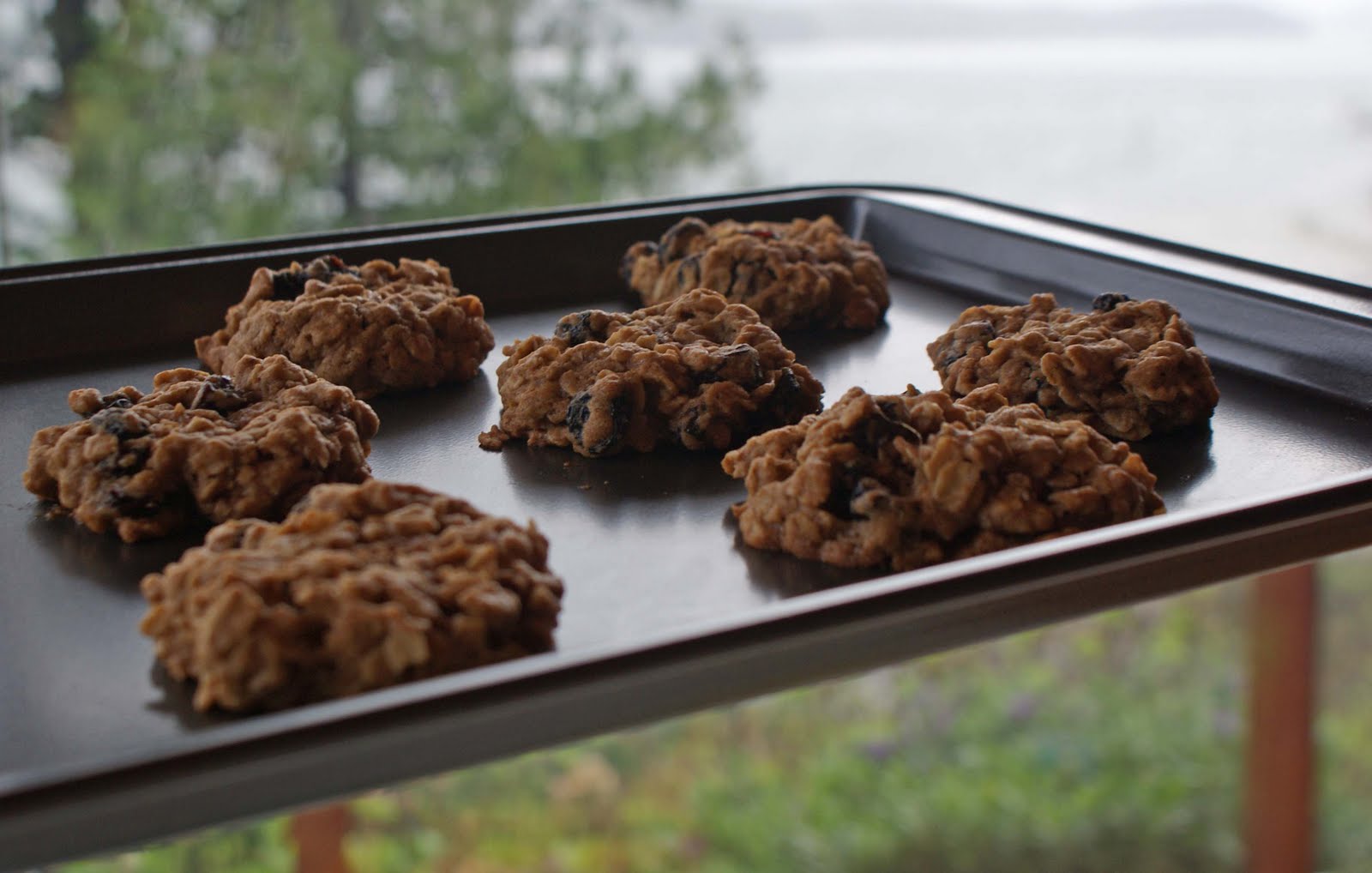 Dad's Chewy Oatmeal Raisin Cookies Dinner With Julie