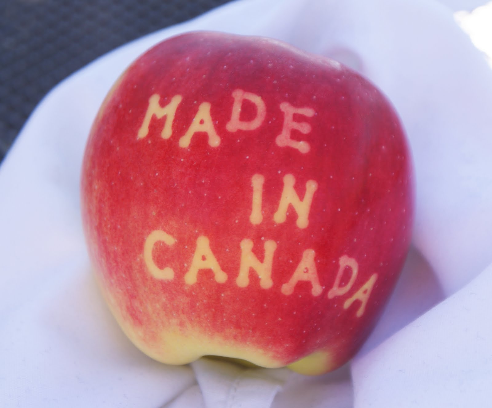 Ambrosia Apple Fritter "Doughnuts" Dinner With Julie
