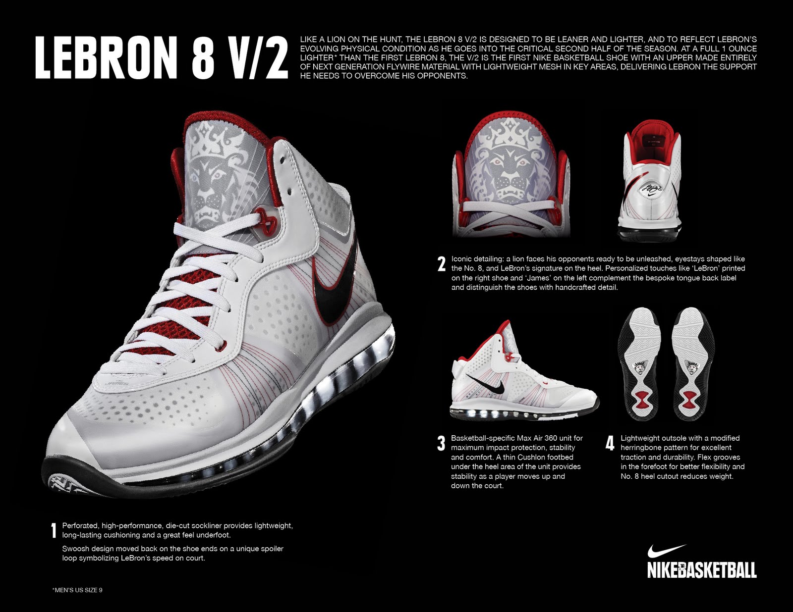 lebron shoes lion