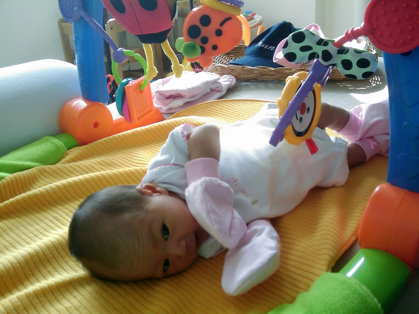 [IMAGE_301-700172.jpg]