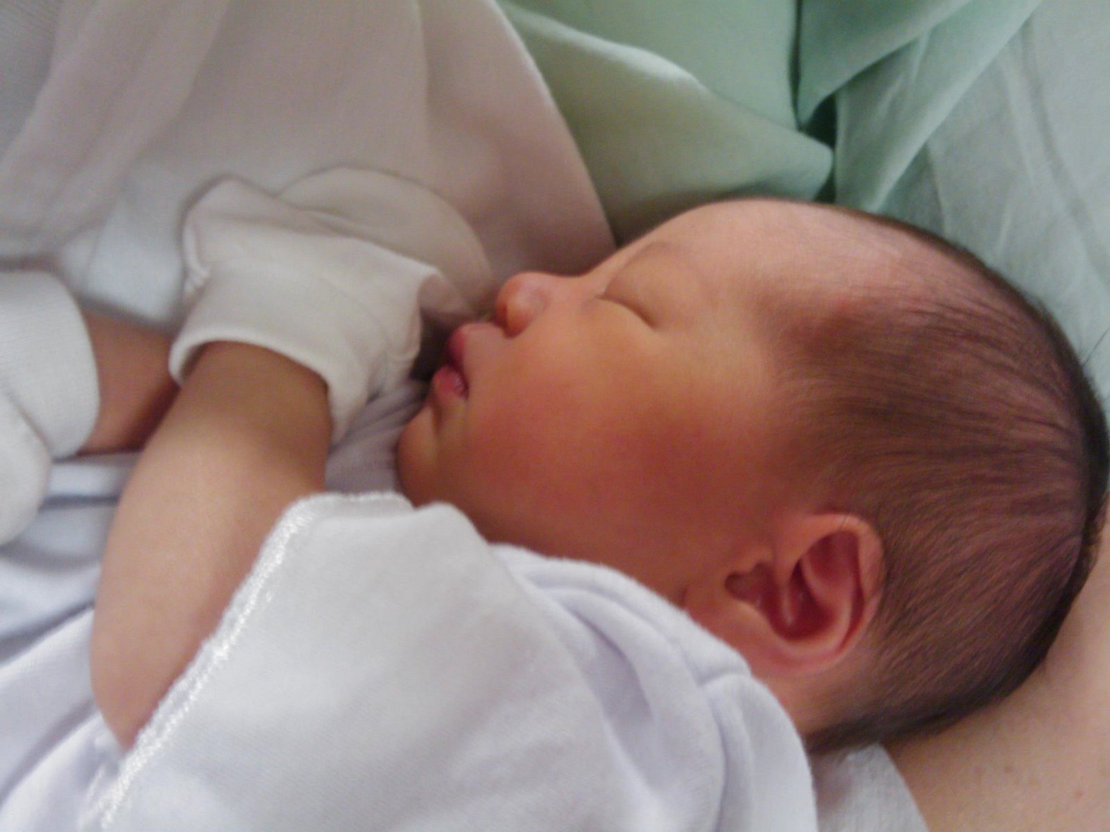 [IMAGE_262-720905.jpg]