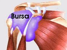 http://4.bp.blogspot.com/_Ox0erPVEPtc/TTh4O7bOoqI/AAAAAAAAA8c/cPJ-7tdhu7A/s1600/bursa.jpg