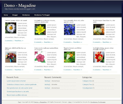 magadine
