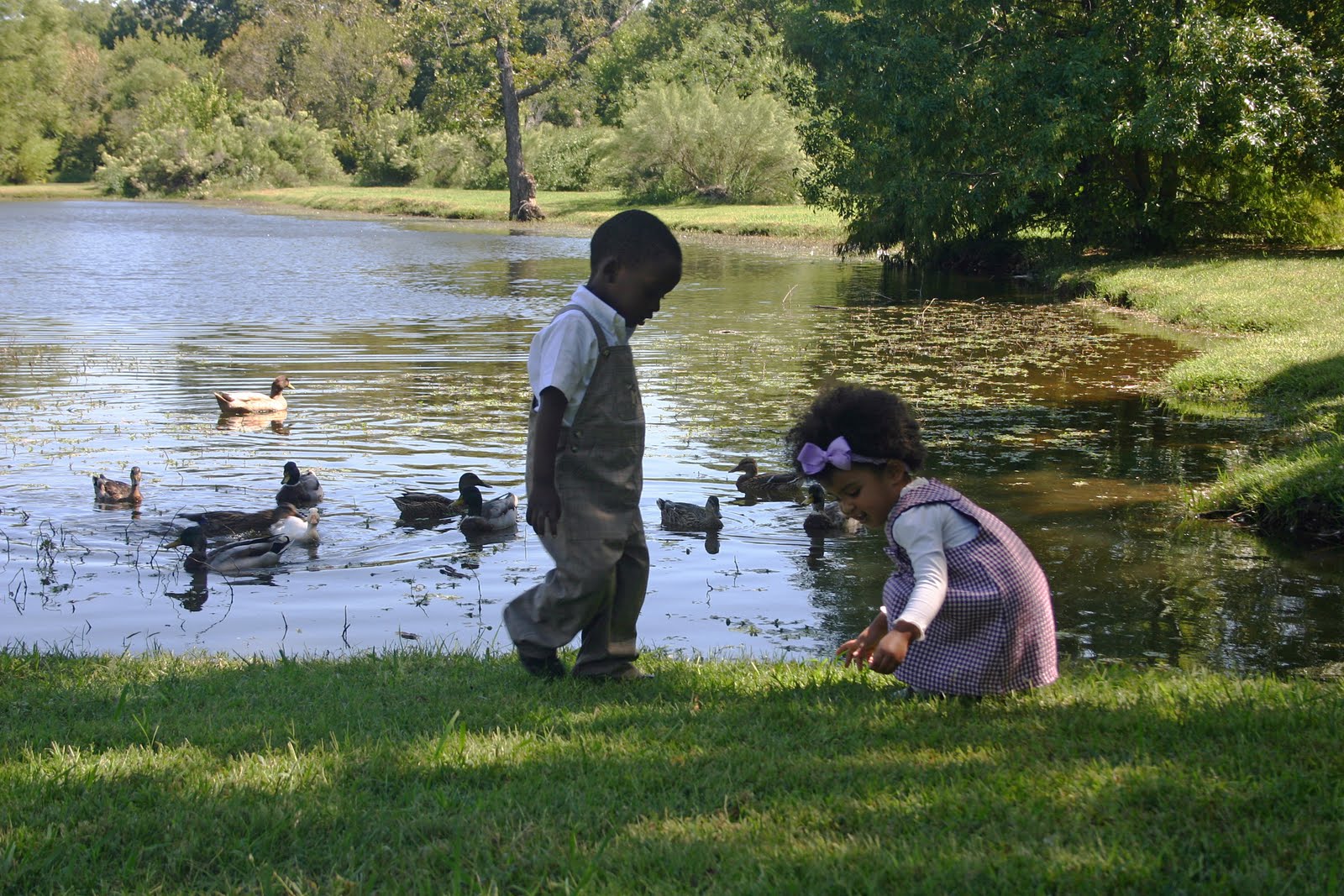 [Playingwithducks1.jpg]