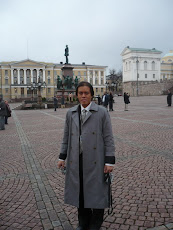 Accountability and Parliamentary Oversight Seminar – Helsinki, Finland 10 – 13 November 2008