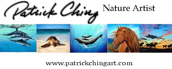 Patrick Ching-Naturally Hawaiian