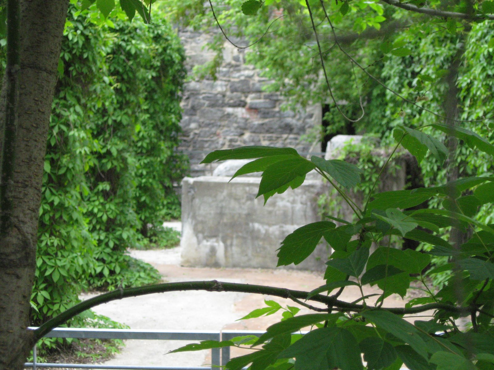 [Juin+2008+019.jpg]