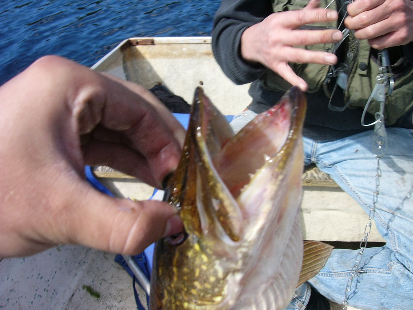 [P1110331.JPG]