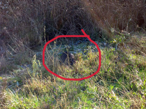 [SD750+dec07+067_web.jpg]