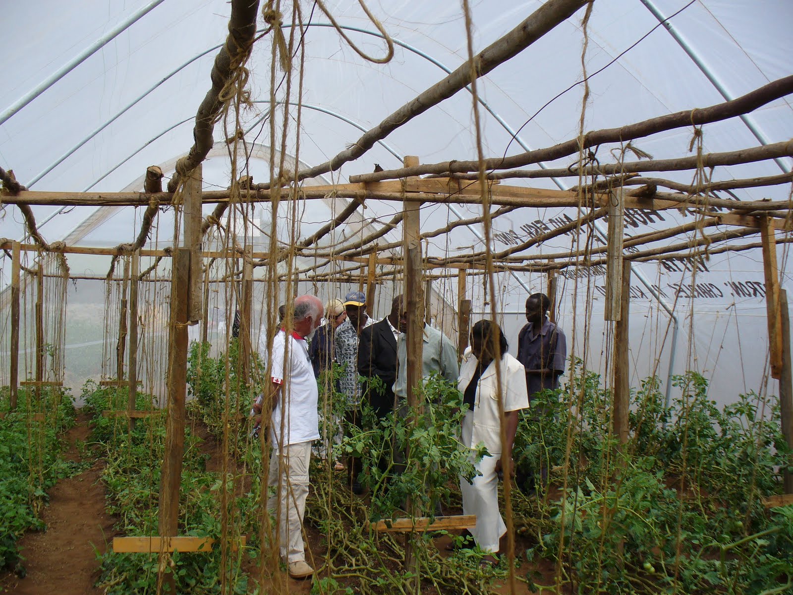 Ndandini Village Kenya Greenhouse Drip Irrigation