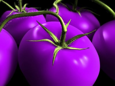 [tomate-roxo-grande.jpg]