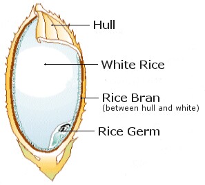 Rice Brand (Bekatul)