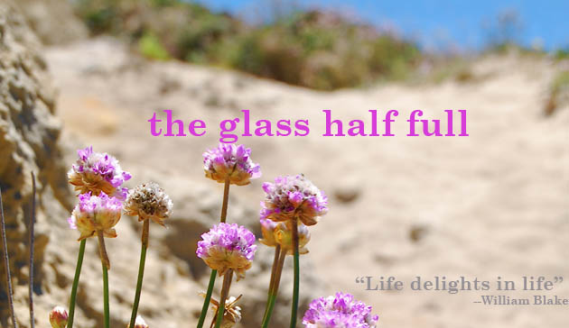 the glass half full