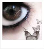 EyeButterfly