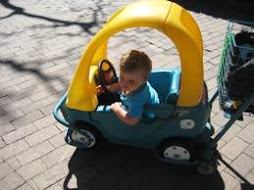 Driving round the zoo