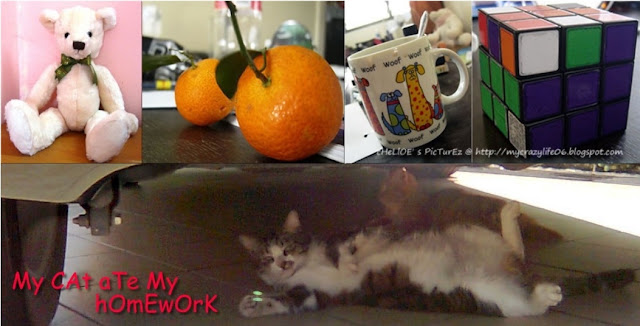 my Cat ate my homework
