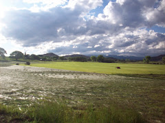 green, gray and blue