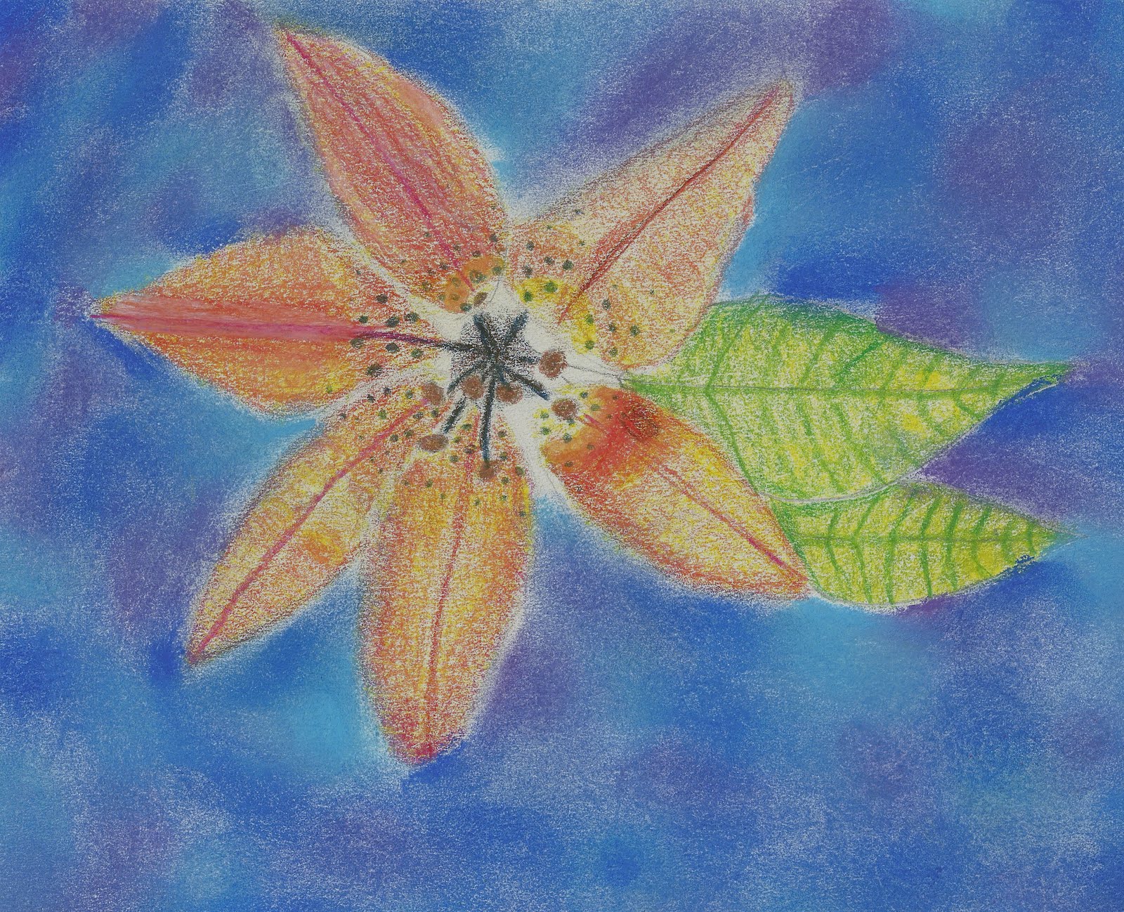 amy s art lessons colored pencil techniques