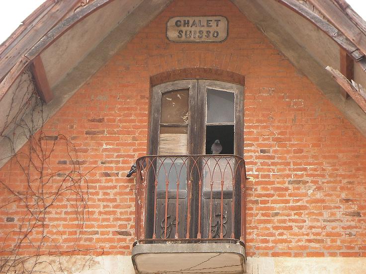 [sónia.JPG]