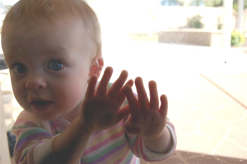 [DSC_2428+(Medium).JPG]