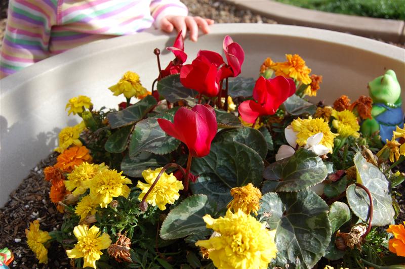 [DSC_2432+(Medium).JPG]