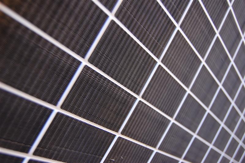 [DSC_3370+(Medium).JPG]