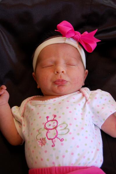 [DSC_4656_1+(Medium).jpg]