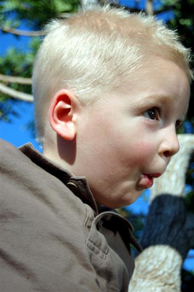 [DSC_5546+(Medium).jpg]