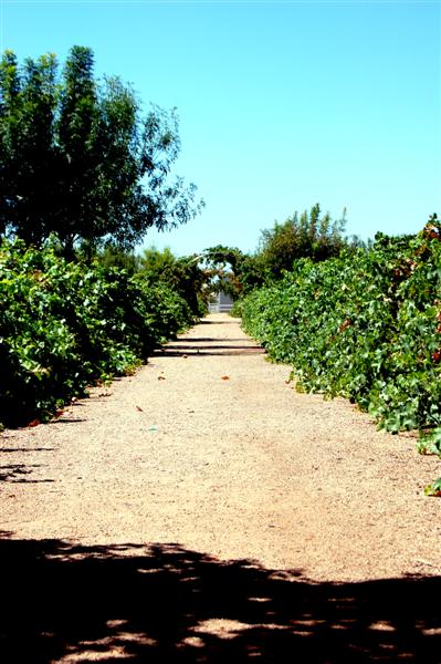 [DSC_7015+(Medium).jpg]