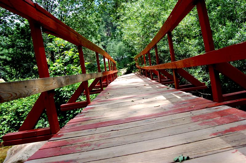 [DSC_6889+(Medium).jpg]