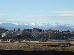 View from parking lot at CCRM