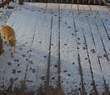possum snow tracks