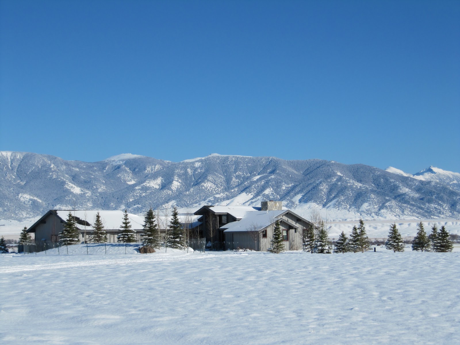 Ennis Montana Real Estate Happenings January 2011