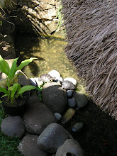 The Pond