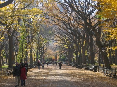 [CentralPk_Autumn.jpg]