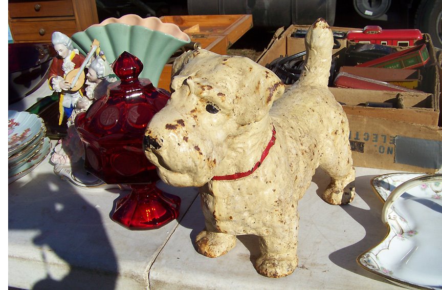 [Flea_cream_dog.jpg]