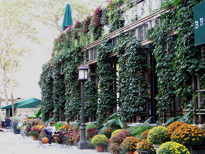 [NYC_Lib_Brnt_PK.jpg]