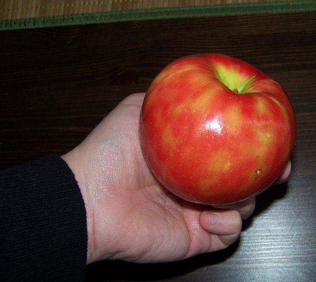 [Honeycrisp-hand.jpg]