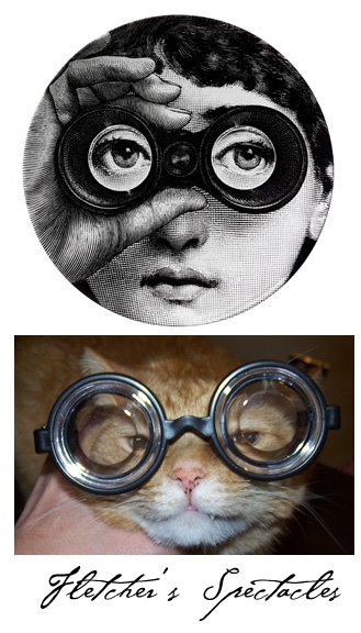 [fletcher_spectacles.jpg]