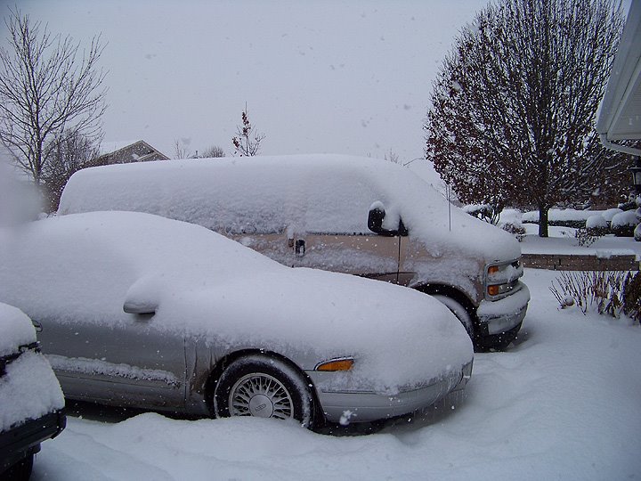 [snowy_cars.jpg]